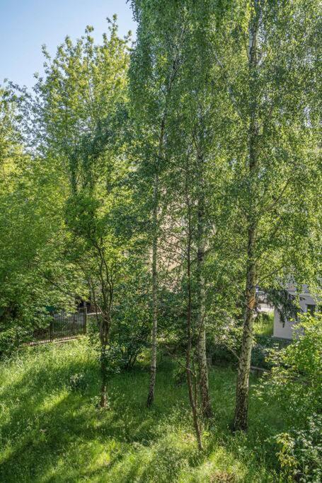 Appartement Rozana, Stary Mokotow à Varsovie Extérieur photo
